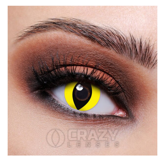 yellow cat crazy contacts